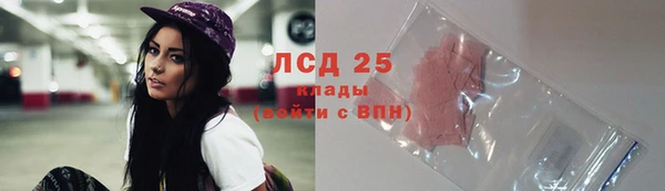 сатива Баксан